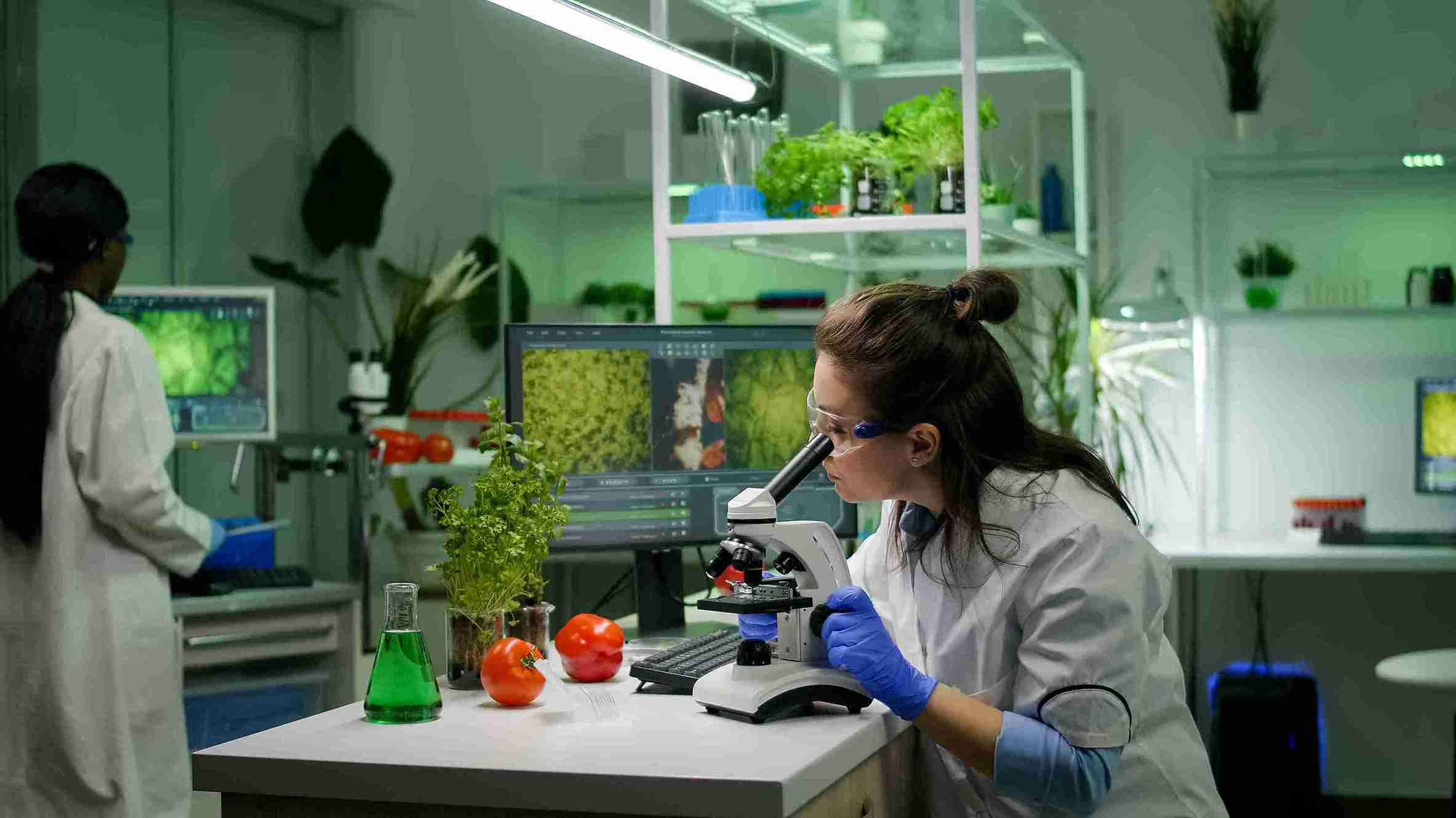 Biotechnology and Life: How Ancient Technology Still Shapes Modern Science in 2026